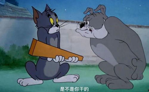 娱乐吃瓜酱杰瑞,娱乐吃瓜界的风云人物 第2张 娱乐吃瓜酱杰瑞,娱乐吃瓜界的风云人物 第2张