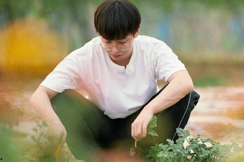 娱乐吃瓜君彭昱畅 第3张 娱乐吃瓜君彭昱畅 第3张