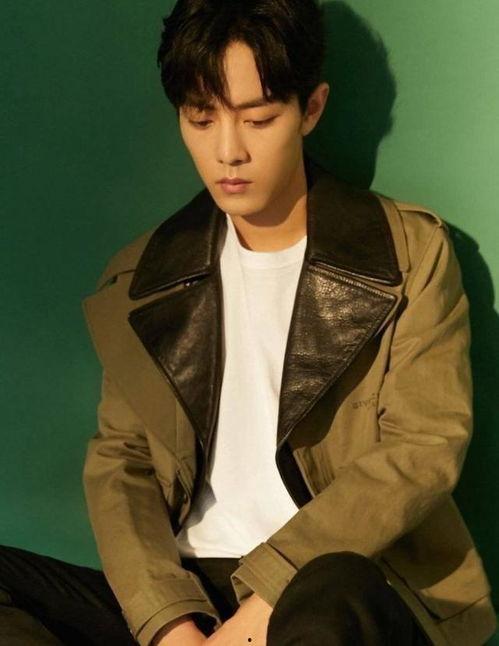 娱乐圈吃瓜爆料肖战是谁,娱乐圈吃瓜爆料中的焦点人物 第3张 娱乐圈吃瓜爆料肖战是谁,娱乐圈吃瓜爆料中的焦点人物 第3张