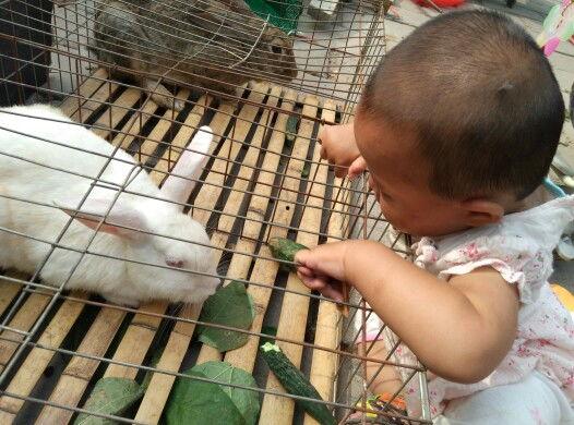 娱乐吃瓜小兔子,娱乐圈吃瓜小兔子的幕后故事 第3张 娱乐吃瓜小兔子,娱乐圈吃瓜小兔子的幕后故事 第3张