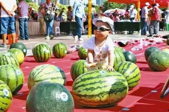 每日吃瓜大赛入口,揭秘娱乐圈幕后风云 第2张 每日吃瓜大赛入口,揭秘娱乐圈幕后风云 第2张