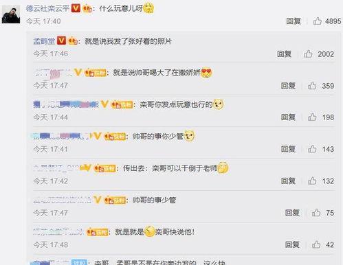 娱乐吃瓜君评论区临沂,娱乐吃瓜君的瓜田盛宴 第2张 娱乐吃瓜君评论区临沂,娱乐吃瓜君的瓜田盛宴 第2张