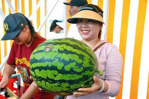 娱乐的吃瓜 第3张 娱乐的吃瓜 第3张