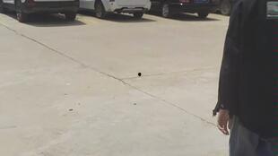 吃瓜娱乐鸭 第2张 吃瓜娱乐鸭 第2张