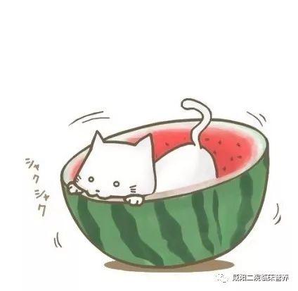 吃瓜群众的卡通图片,趣味解读社会热点现象 第2张 吃瓜群众的卡通图片,趣味解读社会热点现象 第2张